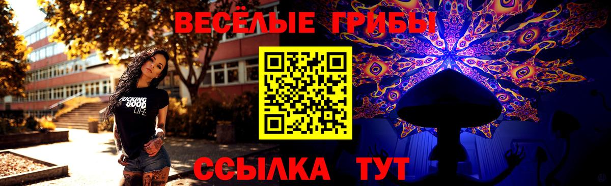 Псилоцибиновые грибы Psilocybe Изобильный