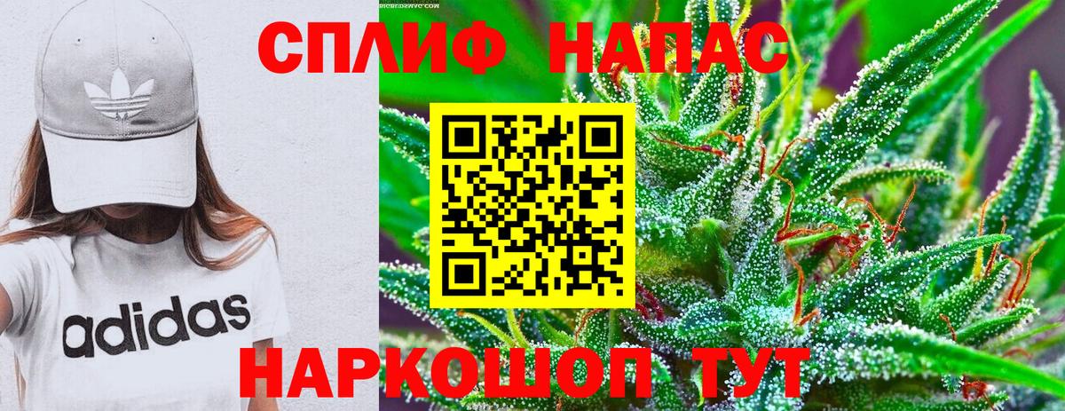 Канабис планчик Изобильный